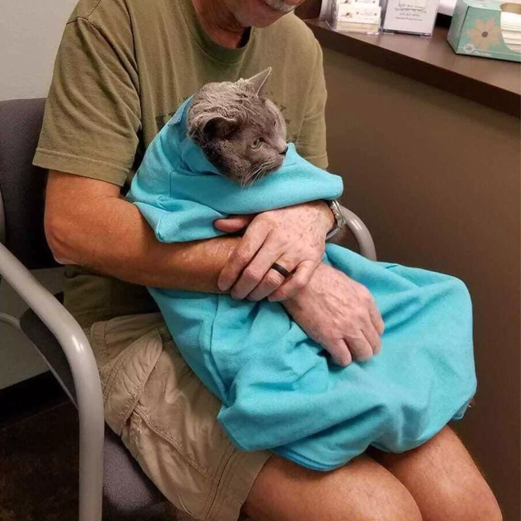 Cat carrier pouch