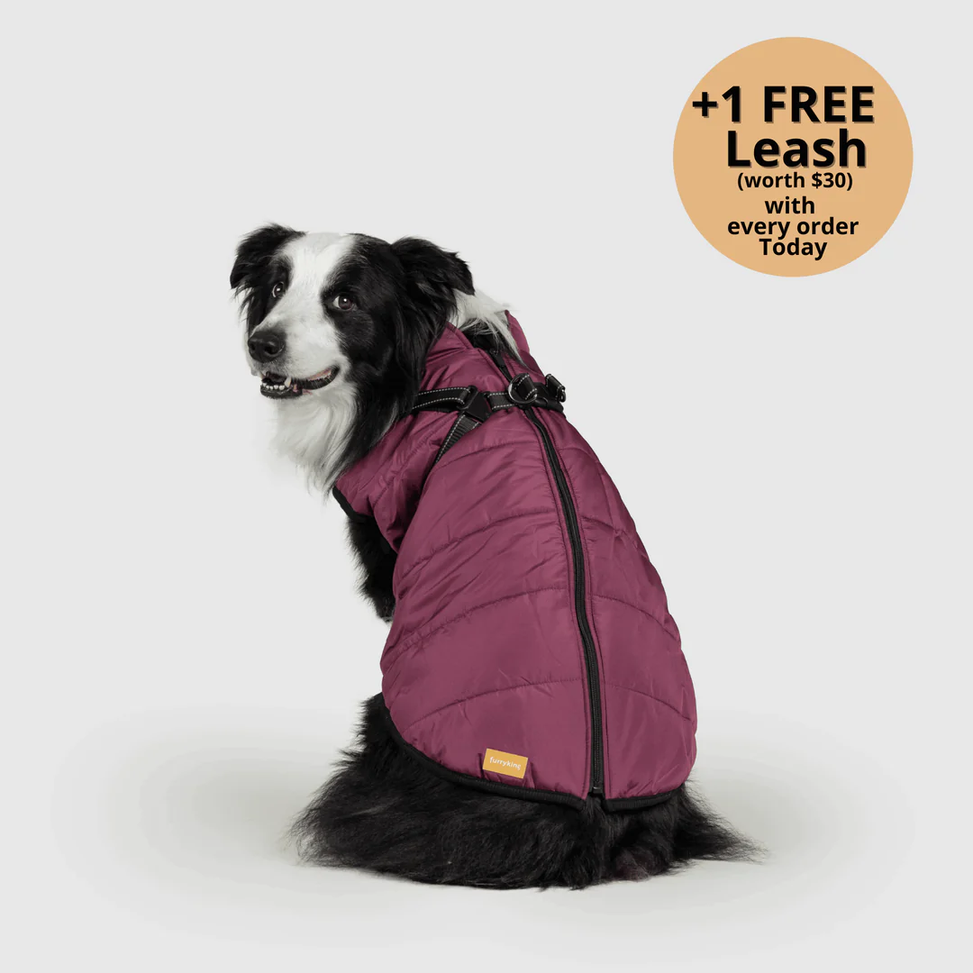 FurryKing™ 3 in 1 Winter Jacket